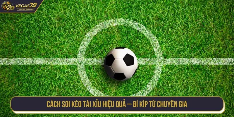 Cách soi kèo tài xỉu hiệu quả – bí kíp từ chuyên gia