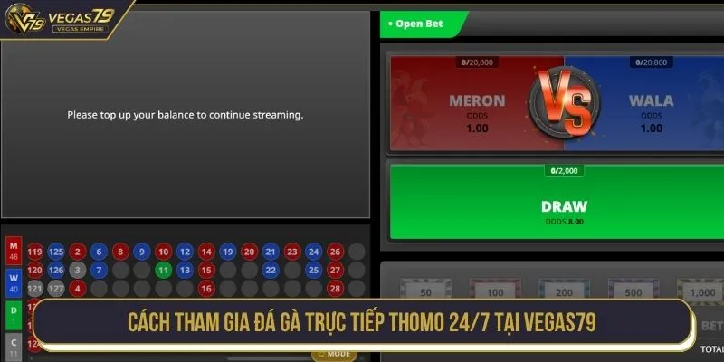 Cách tham gia đá gà trực tiếp Thomo 24/7 tại VEGAS79