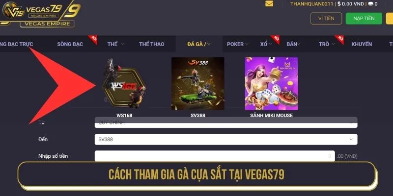 Cách tham gia gà cựa sắt tại VEGAS79