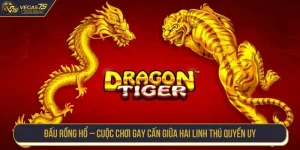Đấu Rồng Hổ