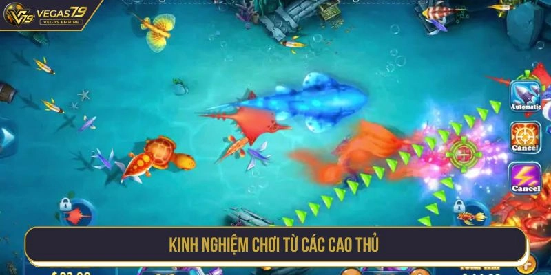 Kinh nghiệm chơi từ các cao thủ