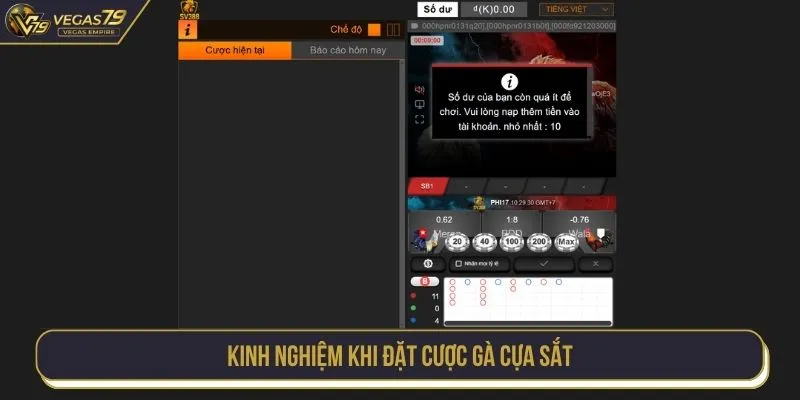 Kinh nghiệm khi đặt cược gà cựa sắt