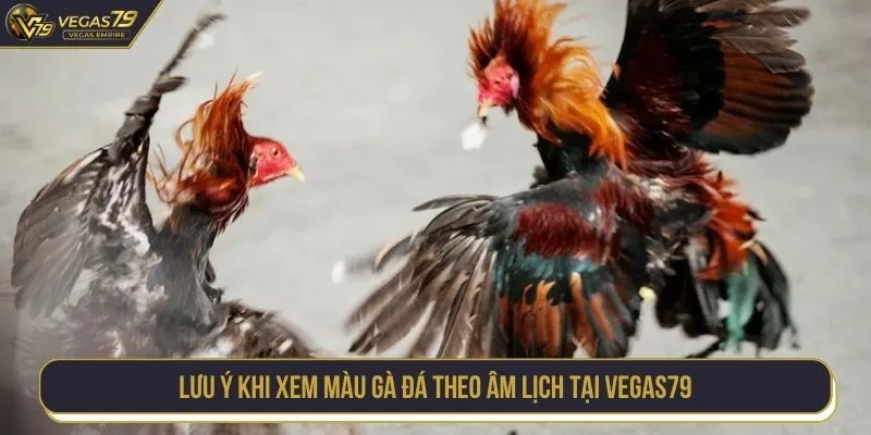 Lưu ý khi xem màu gà đá theo âm lịch tại VEGAS79