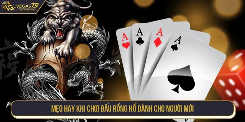 Mẹo hay khi chơi Đấu Rồng Hổ dành cho người mới