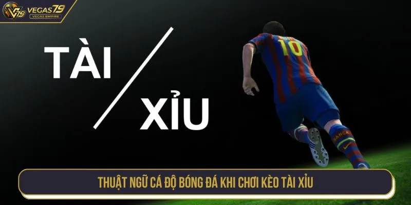 Thuật ngữ cá độ bóng đá khi chơi kèo tài xỉu
