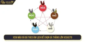 xem màu gà đá theo âm lịch